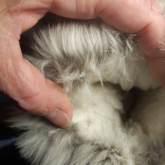 Children's Leather and Real Fur mittens - green leather - Picture 9 of 11